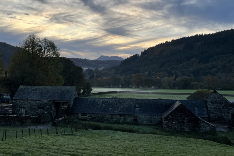 A residential field weekend with a local Manchester school