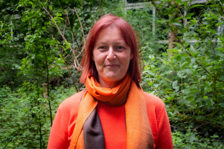 Progress with the Environmental Sustainability agenda in FBMH: November 2024 update