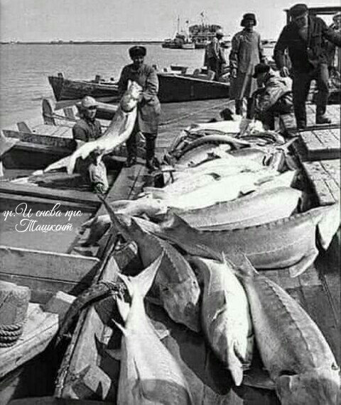 Locals fishing in Moynoq, Karakalpakstan
